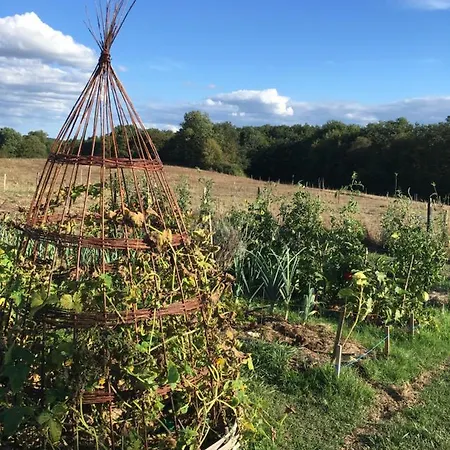 Chez Muriel Et Jef Nocleg ze śniadaniem 3*